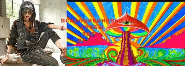ПСИЛОЦИБИНОВЫЕ ГРИБЫ Абинск