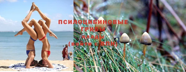 ПСИЛОЦИБИНОВЫЕ ГРИБЫ Абинск