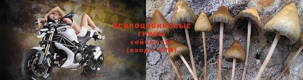 скорость Абаза